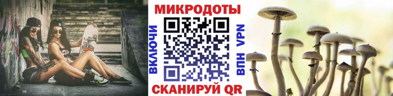 Псилоцибиновые грибы Magic Shrooms  Таштагол 